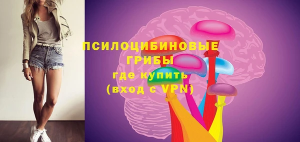 ПСИЛОЦИБИНОВЫЕ ГРИБЫ Аркадак