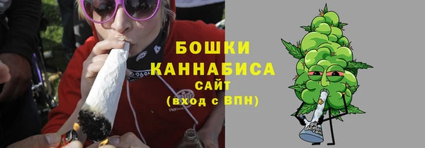 ПСИЛОЦИБИНОВЫЕ ГРИБЫ Аркадак