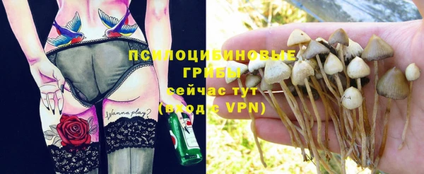 PSILOCYBIN Санкт-Петербург