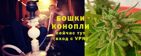 PSILOCYBIN Санкт-Петербург