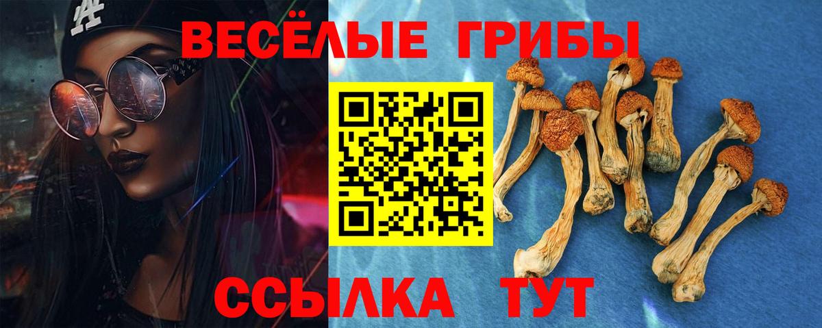 Галлюциногенные грибы GOLDEN TEACHER Ахтубинск
